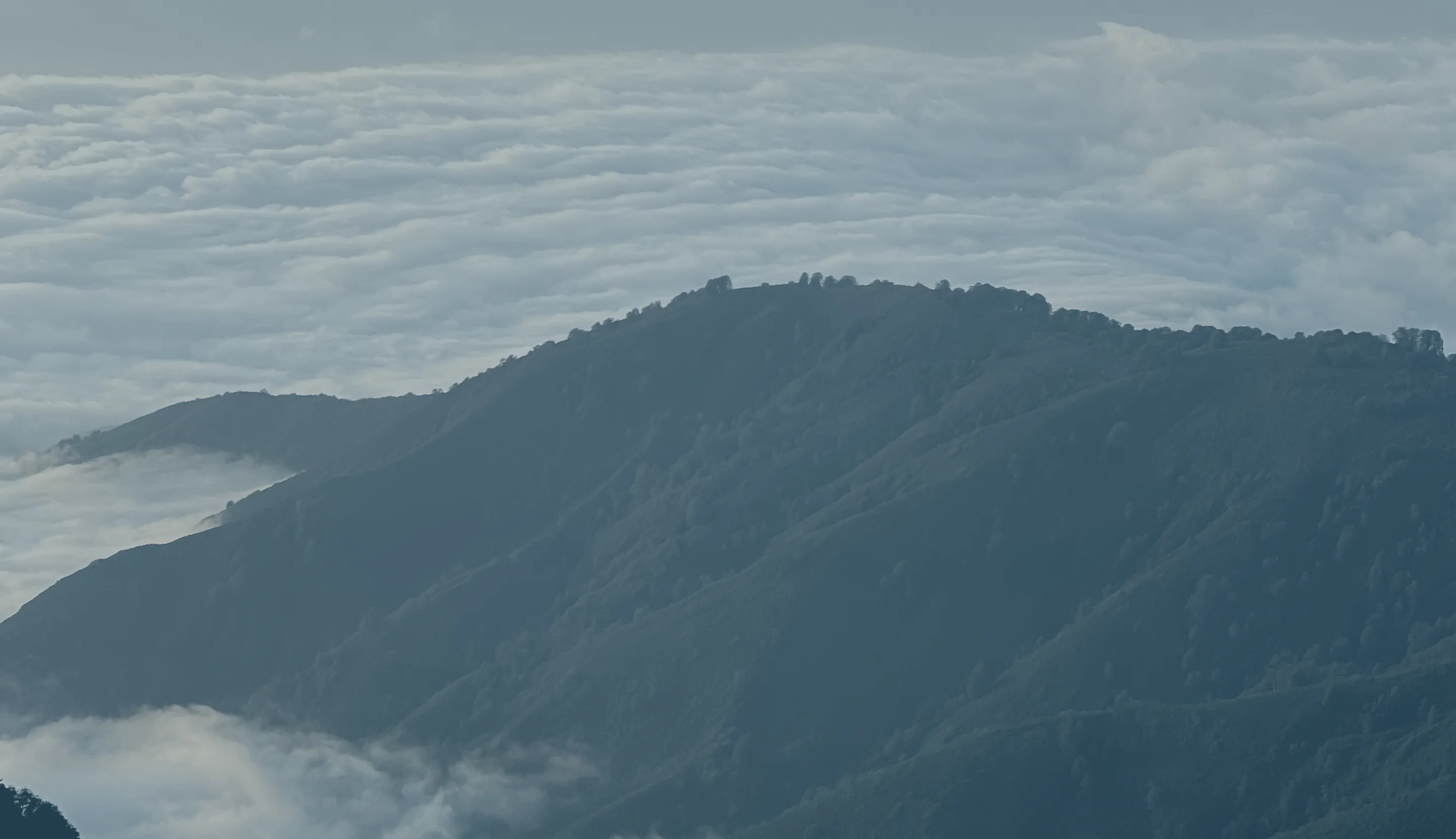 A sea of cloud below a dark forested ridge at Gomismta, Guria