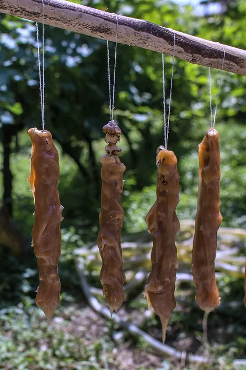 Strings of churchkhela drying in the sun among the vines