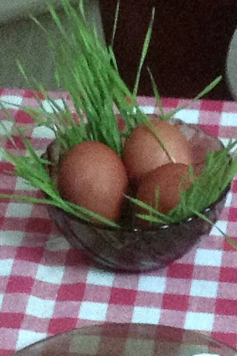 Red Easter eggs on a bowl of sprouted wheat