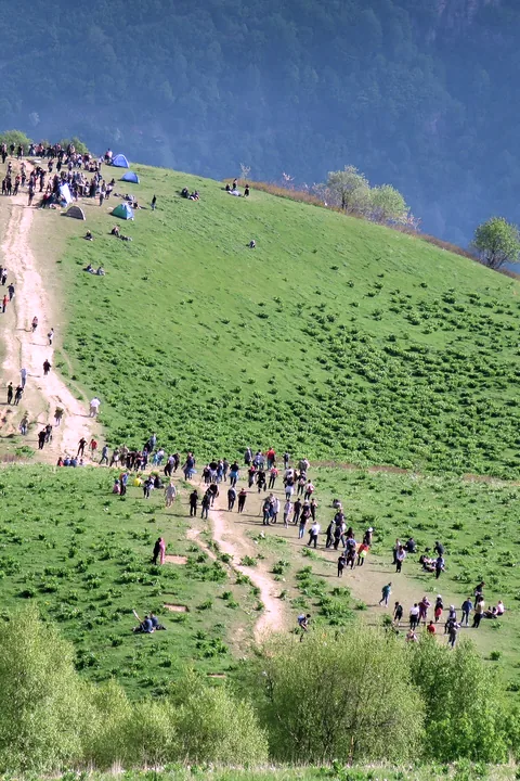 Lines of pilgrims walking up a bright green mountain path to Lomisa